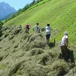 Pfurtschell