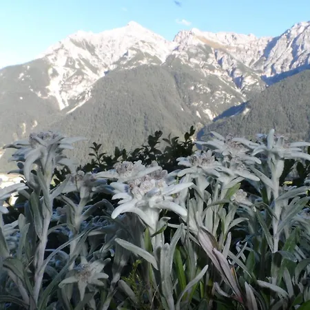 Pfurtschell * Neustift im Stubaital