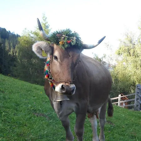 Appartement Pfurtschell