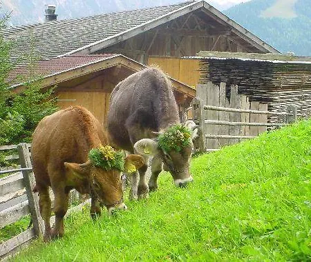 Pfurtschell