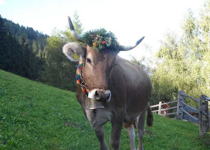 Appartement Pfurtschell