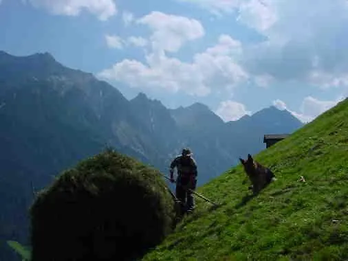 Pfurtschell Appartement *