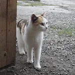 Pfurtschell Neustift im Stubaital