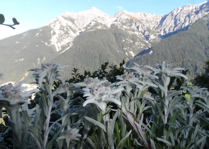 Pfurtschell * Neustift im Stubaital